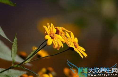 �и����ԺȾջ���