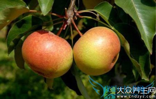 �����ܳ�����