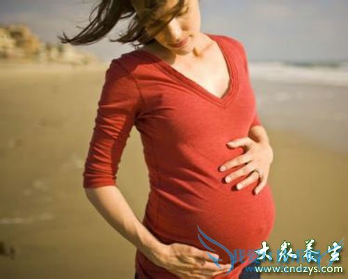 �и����Ԥ�����