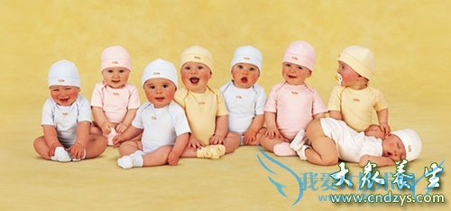 ���������ι��