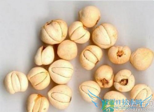 �����ܳԴ�����