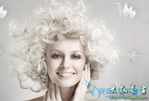 �㸽������