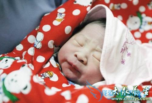 ��������Ӥ�� ����10��С����(10)