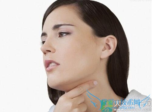 �����巢��ʳ�Ʒ���