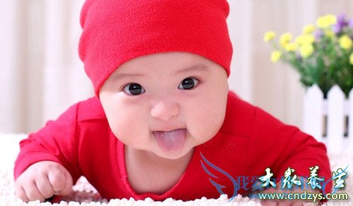 ���Ԥ��С������(3)