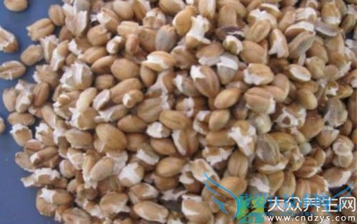 Ƥ�������ܳԴ�����