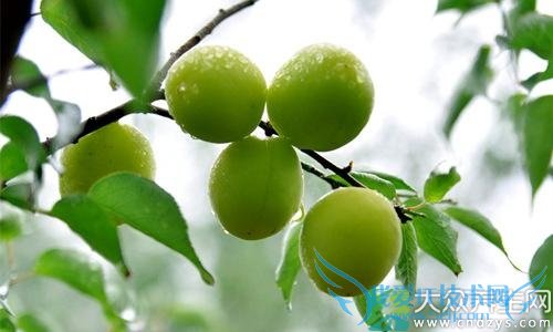 �������ܳ���÷��