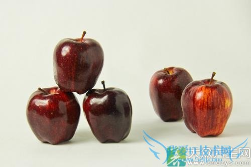 Ƥ�������ܳ��߹���