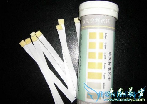 ��ֽʲôʱ����