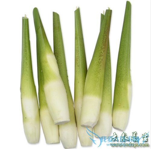 ������ʲô����