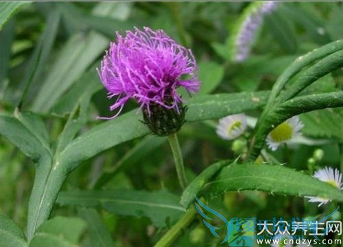 ��Ѫѹ�ܳԴ̶�����