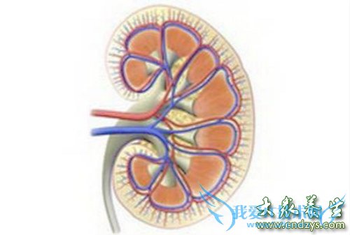 ����7�����嶾����Ů��Խ��Խ��(5)