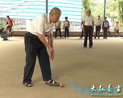 �������ӻ�����˥���巽��(1)