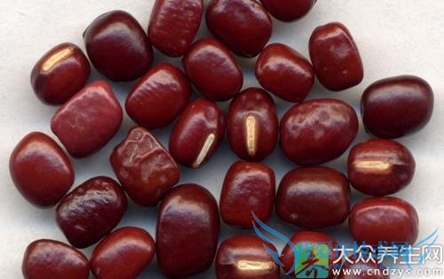 Ƥ�������ܳԳ�С����