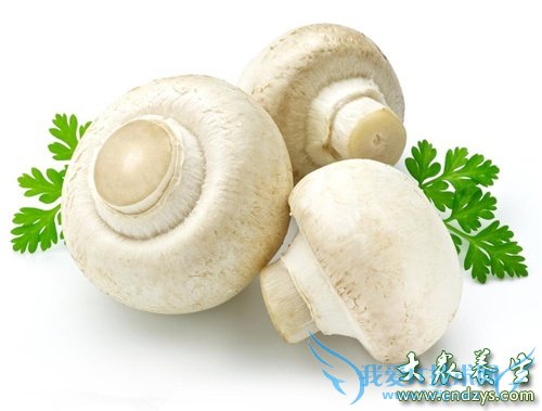 �����ܳԿ�Ģ��