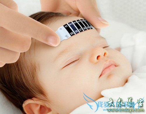 С�����¶�������