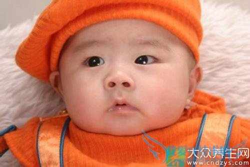 С�����տȵ�ʳ�Ʒ���