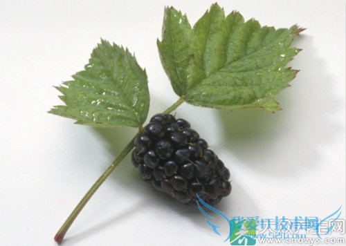 �����ܳ�ɣ������