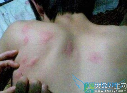 ��������ݡ������ô����