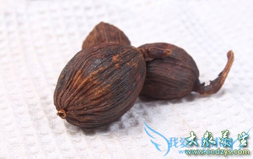 ��Ѫѹ�ܳԲݹ���