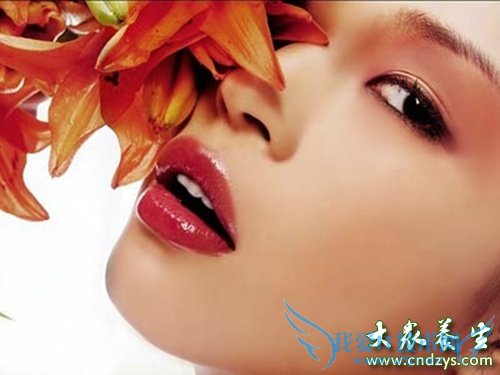 ������ƹ�������