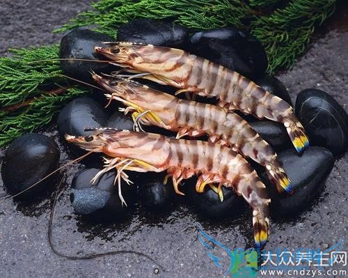 �������ܳԲ�Ϻ��