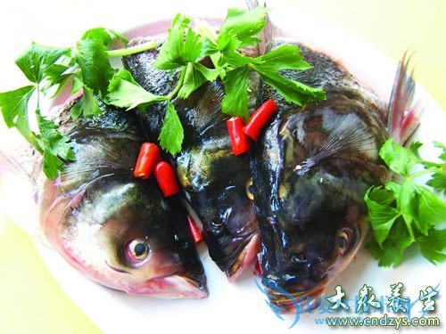 ��Ѫѹ�ܳ���ͷ��