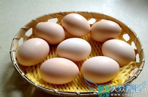 �������˼�������8���԰׽�ʳƷ(1)