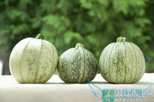 �������˼�������8���԰׽�ʳƷ(3)