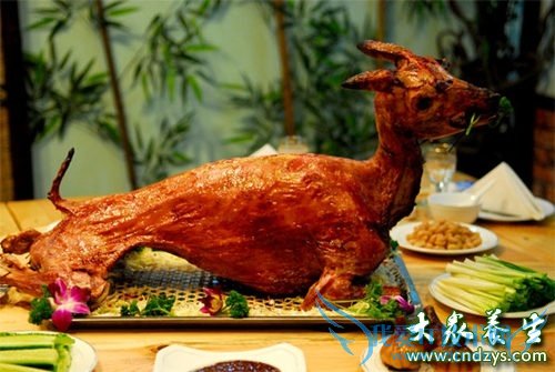 �ú���Խ��Խ������������ʳ��(4)