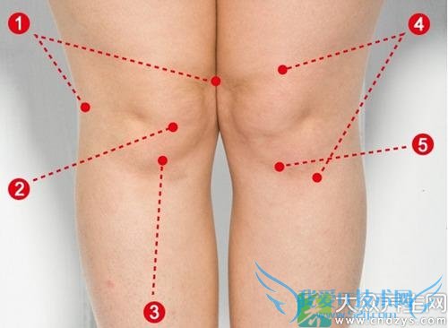 �Źؽڻ�Ĥ�׵����Ʒ�������Щ