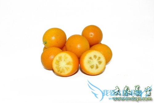 �����ܳԽ�����