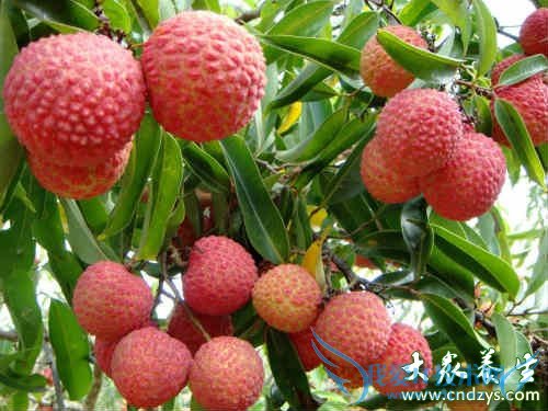 9��ˮ�����������ˡ����Ρ���(1)