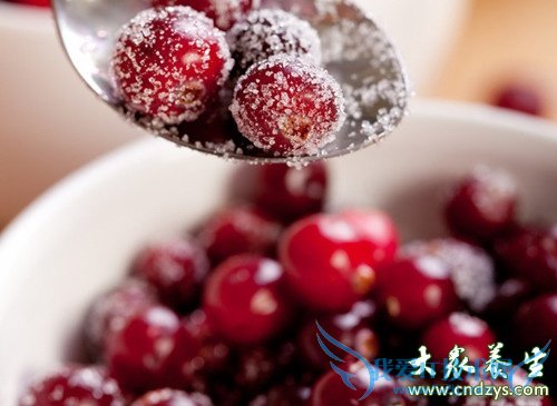 �����ܳ���Խݮ�� 