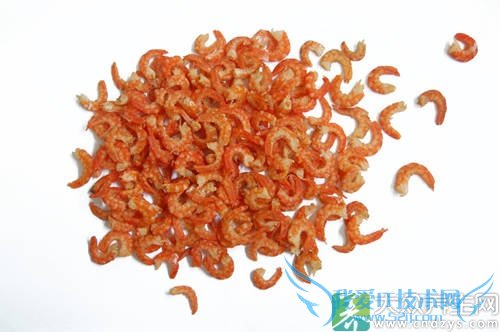 �����ܳԺ�����