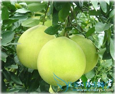 �и��ܳ��������и����Գ���������������Ҫ��ά����(1)