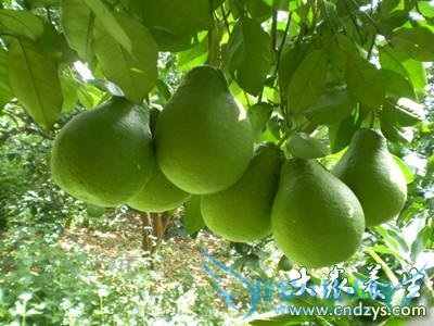 �и��ܳ��������и����Գ���������������Ҫ��ά����(2)