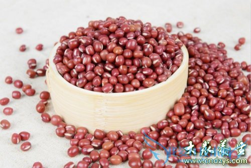 �и����ԳԺ�С����