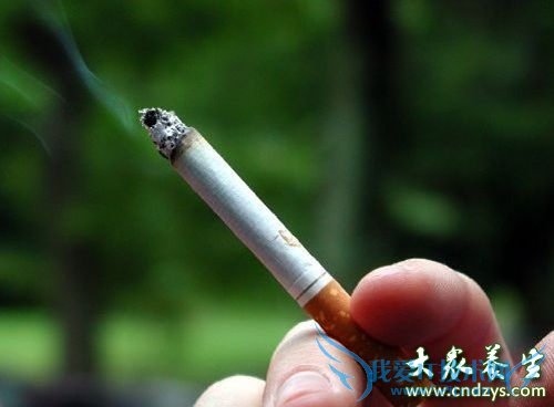 ����Ԥ����Ѫ֬���������(1)