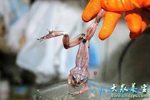 ��������׳���ط�һ����(1)