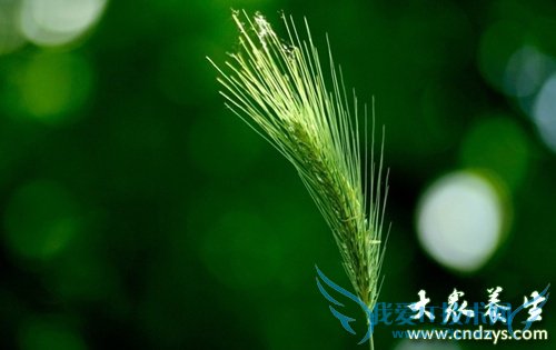 ��������׳���ط�һ����(7)