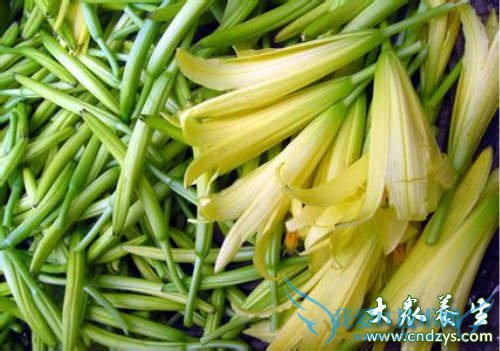 �������ܳԻƻ�����