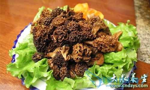 �и��ܲ��ܳ���Ǿ�