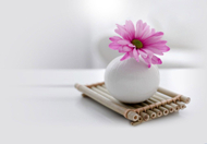 ��ҽ���Σ���������ϰ�߰��㻤��