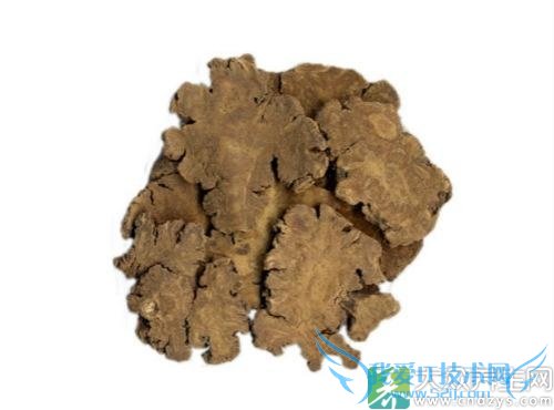 �и��ܳԴ�ܺ�� 