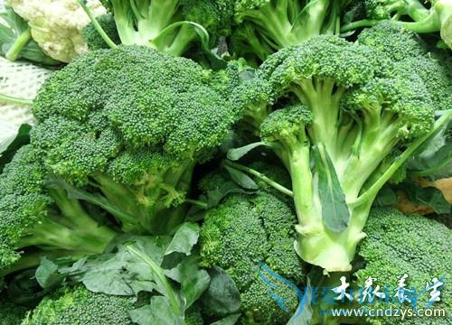 ����Ů������ ʮ���̲�ʳ��(10)