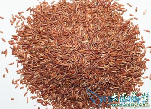 ����Ů������ ʮ���̲�ʳ��(6)