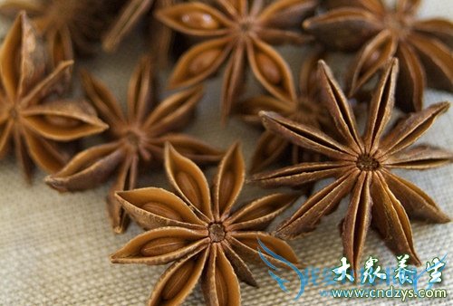 ��Ѫѹ�ܳ԰˽���