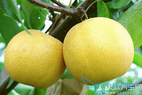 ���ٿ��Գ�����