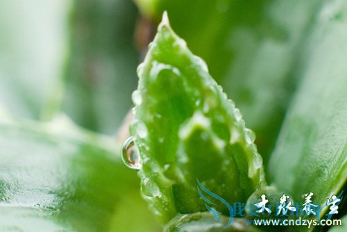 �и��ܳ�«����